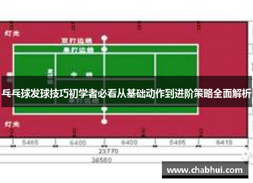 乓乓球发球技巧初学者必看从基础动作到进阶策略全面解析